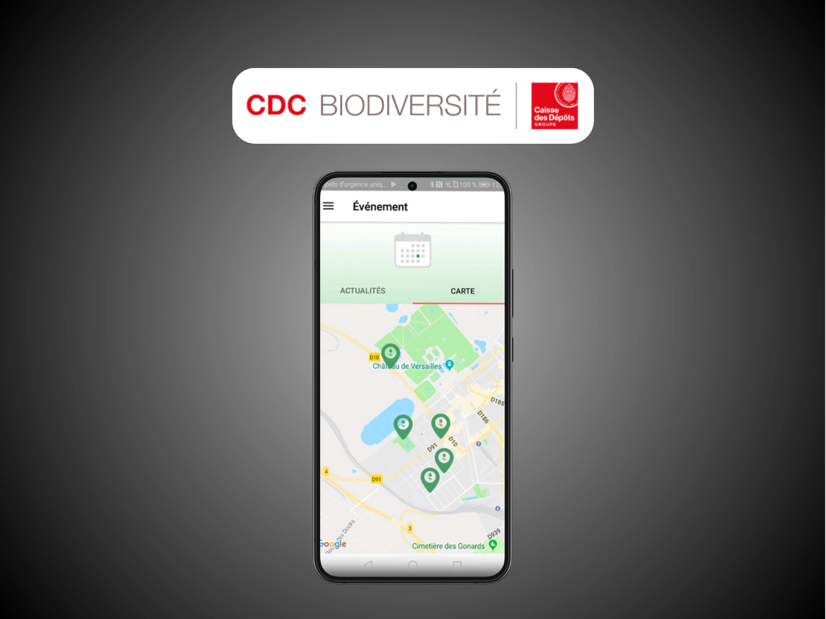 Illustration de Roadflore